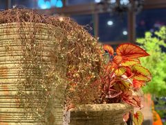 -花海牛火锅(泰合店)