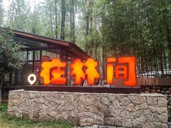 -林间山庄