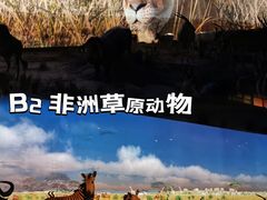 -上海自然博物馆