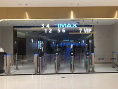 -大世界影城(无锡江南大悦城IMAX激光店)