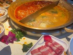 -小龙坎火锅(全球旗舰店)