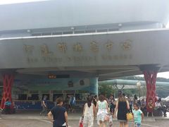 -伊达邵码头(德化社码头)