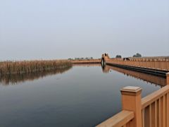 -白洋淀景区