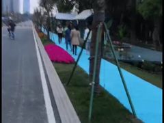 -三圣花乡旅游区