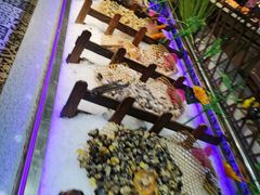 -格瑞欧海鲜自助烤肉火锅(光彩店)