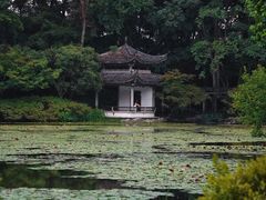 -杭州植物园