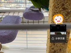 -立德异宠动物医院.兔鸟爬.内窥镜(天河店)