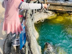 -华夏文旅海洋公园