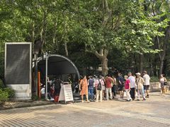 -人民公园-相亲角