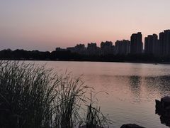 -南翔镇银翔湖公园