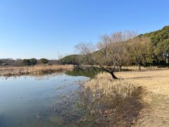 -同里国家湿地公园