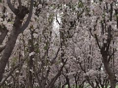 -太阳宫公园