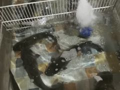 -缘福乡村铁锅炖民宿(八达岭店)