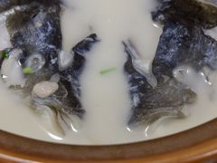 -全乐鱼馆·淳牌有机鱼直营店
