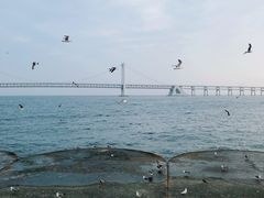 -星海广场