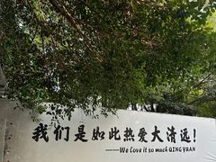 -芭厘农庄老字号·清远鸡