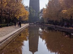 -玲珑塔公园