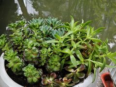 -酒蜻蜓·庭院私房菜(天元东路店)