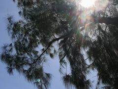 -玫瑰海岸文化旅游度假区