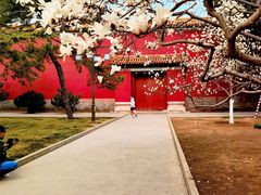 -北京市劳动人民文化宫(太庙)