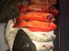 -盒马鲜生(大成店)