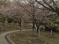 -江南大学-第一食堂(江南苑)