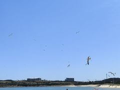 -海驴岛(荣成市)