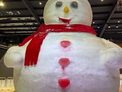 -宁波冰雪大世界(北仑区)