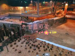 -元代水闸遗址博物馆