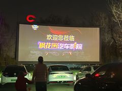 -枫花园汽车电影院(朝阳公园店)