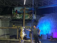 -清迈夜间动物园