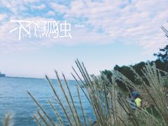 -上海滴水湖皇冠假日酒店