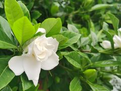 -比斯特上海购物村精品奥特莱斯