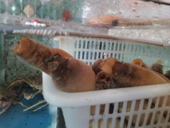 -阿杜打边炉(五江天街店)