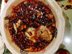 -陈麻婆豆腐总店
