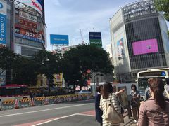 -涩谷区