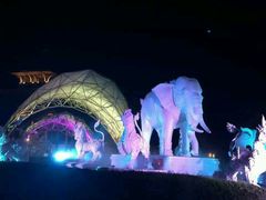 -清迈夜间动物园