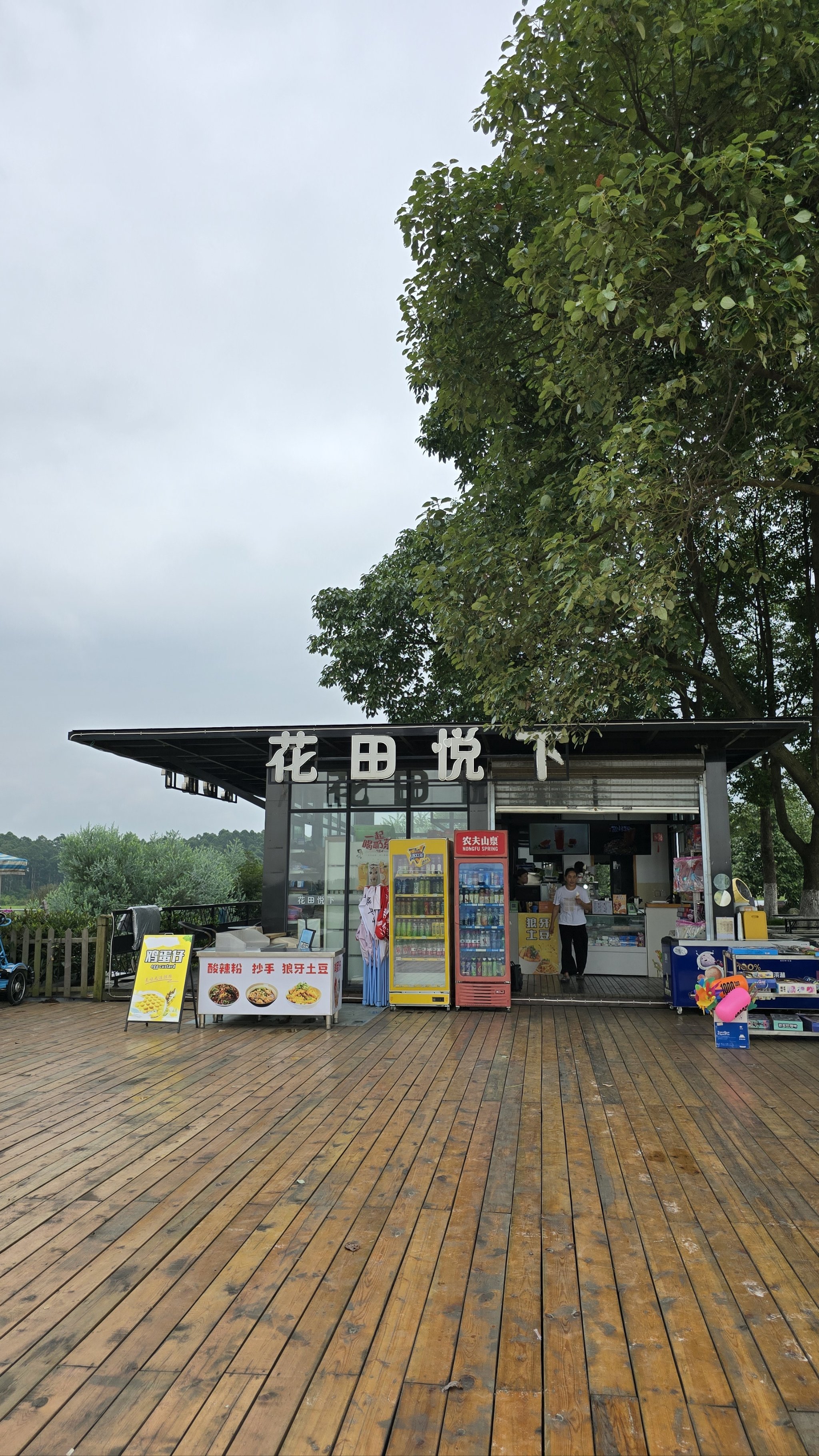 双流空港花田图片