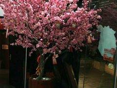 -紫阳家宴(源深店)