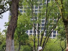 -映月湖中央公园