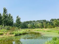 -东郊湿地公园