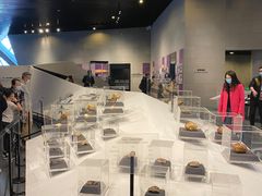 -北京周口店北京人遗址博物馆