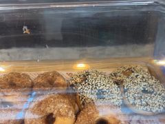 -洲际酒店·地平线全日餐厅HORIZON CAFÉ