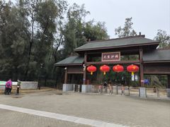 -大京沙滩