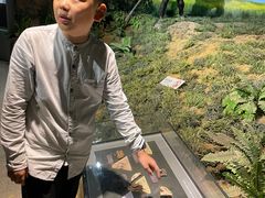 -马鞍山市博物馆