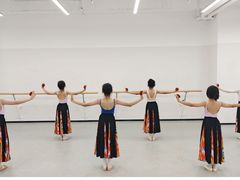 -舞蕾舞蹈(特长生校区)