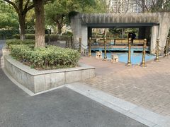 -苏州河梦清园环保主题公园