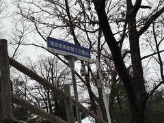 -王顺山国家森林公园