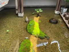 -几荷·恰似故人来(秀水广场店)