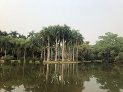 -中国科学院西双版纳热带植物园